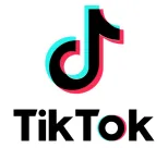 colaboracion tiktok